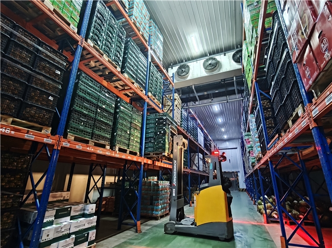 提升效率，确保品质，鲜丰水果物流中心全力以赴迎接双11大促(图3)