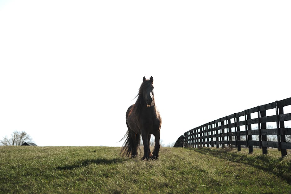 揭秘二六现出特马头：生肖之谜大解析！(图2)