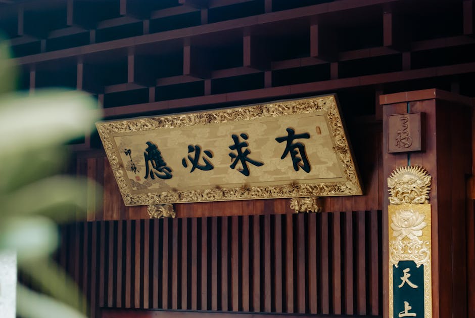 二五生肖之谜，选单双有诀窍，绿头背后的故事！(图2)