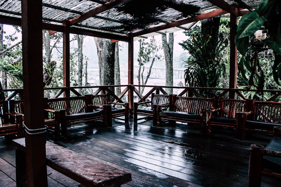 雨后春笋，究竟指代哪一生肖？(图1)