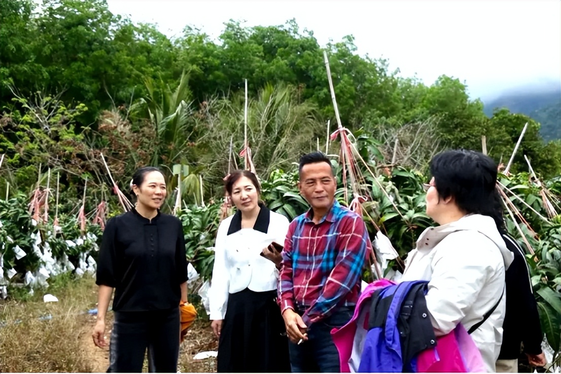 中泰集团携手华唐大健康推动康养新模式——打造山海联动康养旅居新标杆(图10)