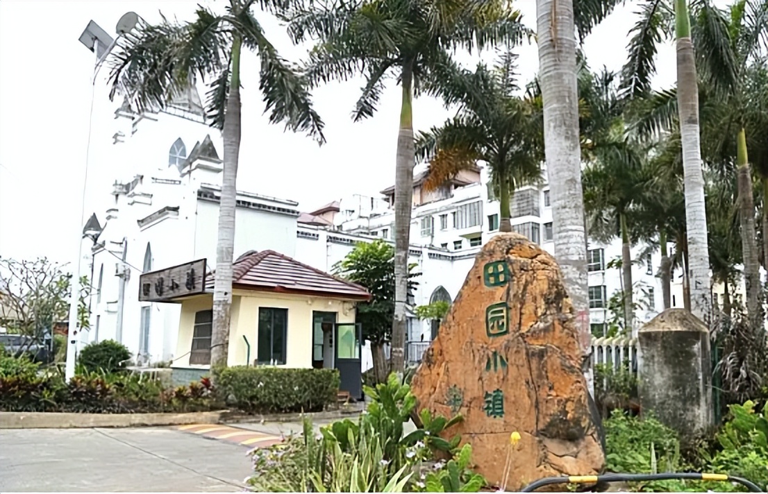 中泰集团携手华唐大健康推动康养新模式——打造山海联动康养旅居新标杆(图12)