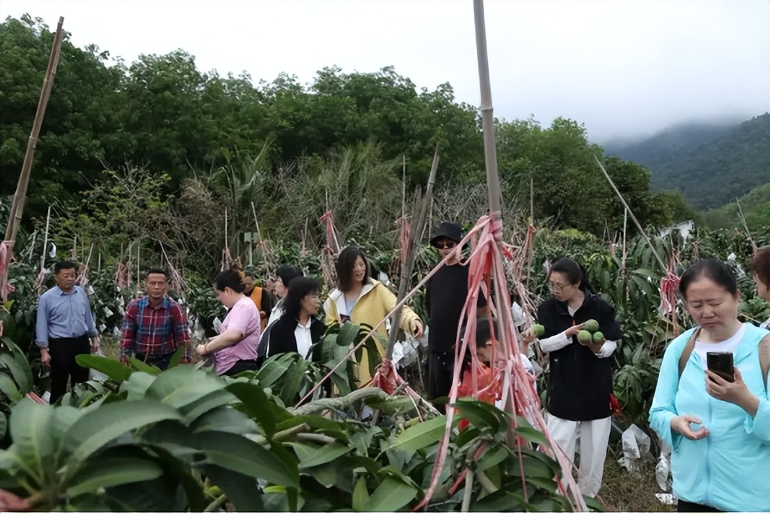 中泰集团携手华唐大健康推动康养新模式——打造山海联动康养旅居新标杆(图24)