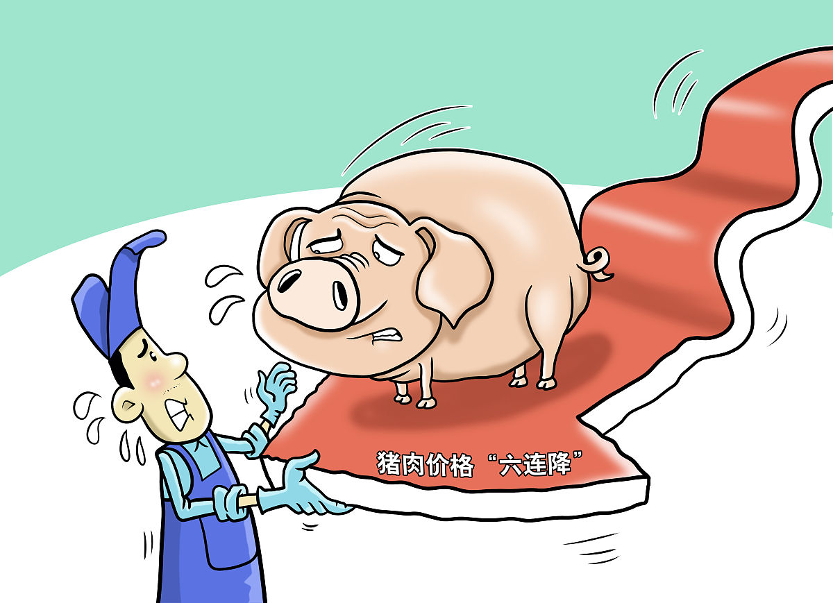 猪价跌破6元!政府出手收储能否稳住养殖户的"钱袋子"?(图3) 猪价跌破6元!政府出手收储能否稳住养殖户的"钱袋子"?(图3)