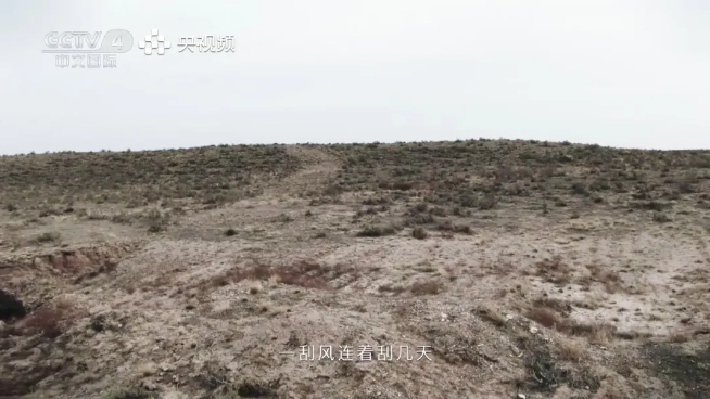 葡萄酒挑选,长城天赋酿出让世界惊叹的“紫色奇迹”(图1) q.png