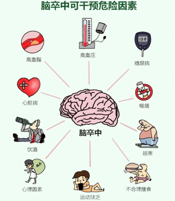 警惕“中风”突袭！脑卒中全面科普(图7)