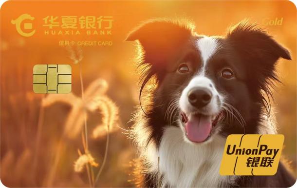 华夏银行信用卡中心推出萌宠信用卡 聚焦萌宠生活健康保障(图4) 华夏银行信用卡中心推出萌宠信用卡 聚焦萌宠生活健康保障(图4)
