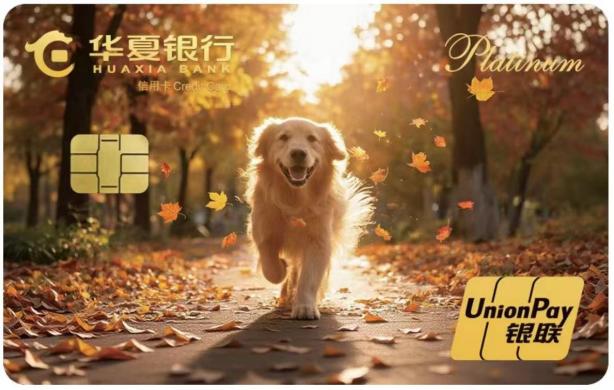 华夏银行信用卡中心推出萌宠信用卡 聚焦萌宠生活健康保障(图2) 华夏银行信用卡中心推出萌宠信用卡 聚焦萌宠生活健康保障(图2)