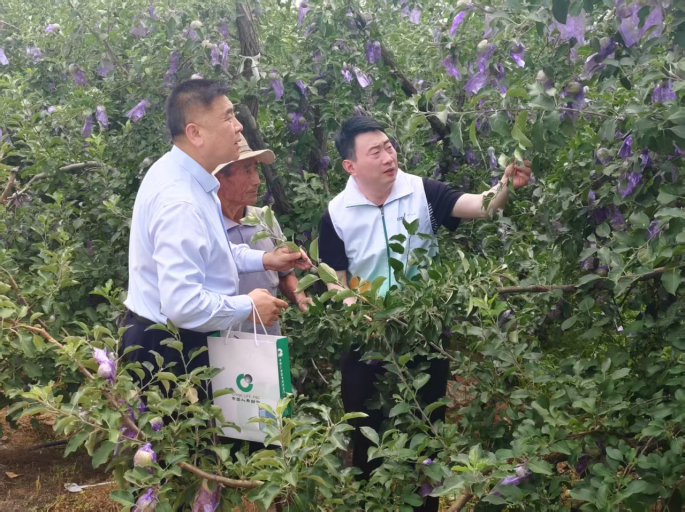 中国人寿财险山东省淄博中支深耕主责主业——农业保险为产业振兴系牢“安全带”(图1) 中国人寿财险山东省淄博中支深耕主责主业——农业保险为产业振兴系牢“安全带”(图1)