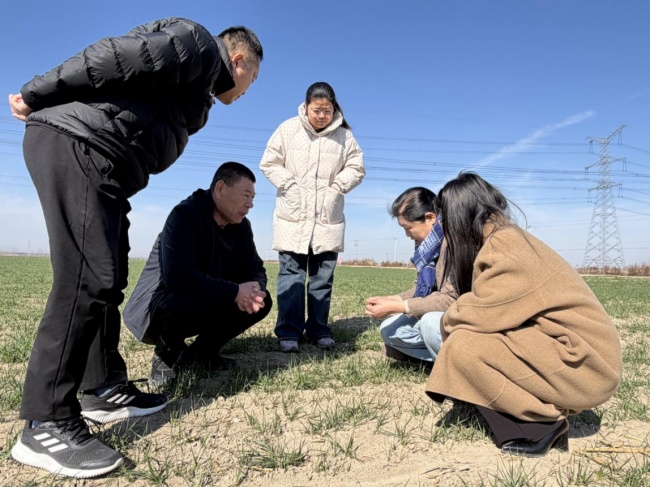 中国人寿财险山东潍坊中支深耕田间地头,书写“三农答卷”(图2) 中国人寿财险山东潍坊中支深耕田间地头,书写“三农答卷”(图2)