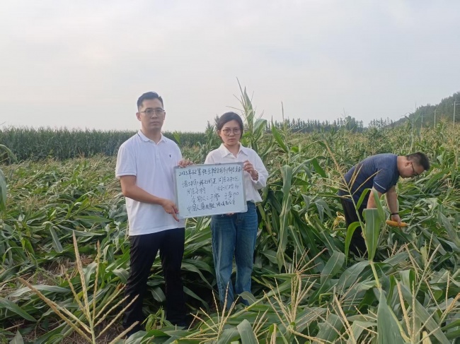 中国人寿财险山东潍坊中支深耕田间地头,书写“三农答卷”(图3) 中国人寿财险山东潍坊中支深耕田间地头,书写“三农答卷”(图3)