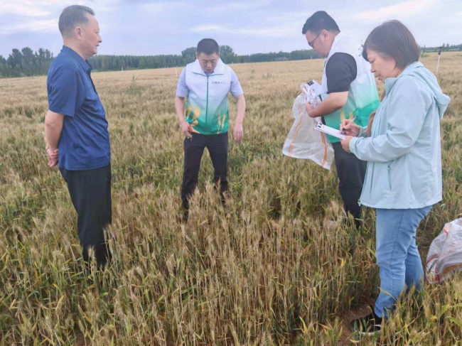 中国人寿财险山东潍坊中支深耕田间地头,书写“三农答卷”(图6) 中国人寿财险山东潍坊中支深耕田间地头,书写“三农答卷”(图6)